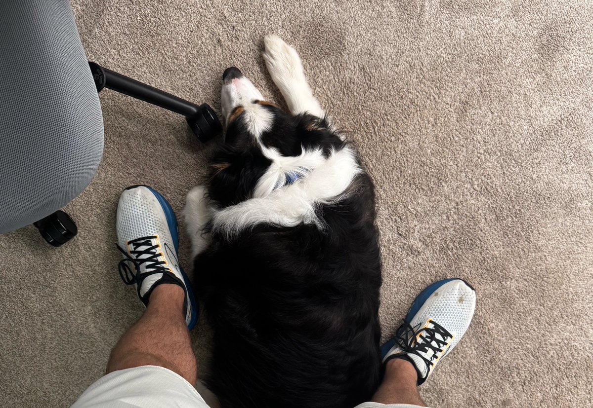 it's impossible to use my standing desk