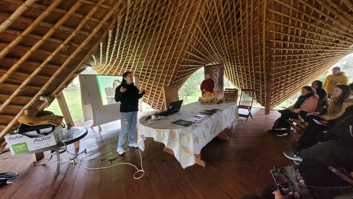 imibiomisiones's tweet image. #TemporadaDeHongos  Hoy visitamos la Reserva Curindy en Garuhapé, donde ofrecimos una nueva edición del &quot;Taller de recolección sustentable de hongos comestibles de Misiones&quot;.
Juntos seguimos poniendo en valor la #FungaMisionera
#HongosMisioneros #HongosComestibles 
@gobmisiones