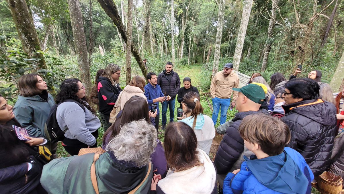 imibiomisiones's tweet image. #TemporadaDeHongos  Hoy visitamos la Reserva Curindy en Garuhapé, donde ofrecimos una nueva edición del &quot;Taller de recolección sustentable de hongos comestibles de Misiones&quot;.
Juntos seguimos poniendo en valor la #FungaMisionera
#HongosMisioneros #HongosComestibles 
@gobmisiones