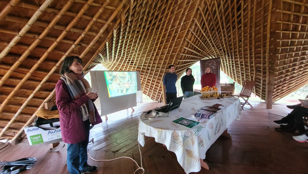 imibiomisiones's tweet image. #TemporadaDeHongos  Hoy visitamos la Reserva Curindy en Garuhapé, donde ofrecimos una nueva edición del &quot;Taller de recolección sustentable de hongos comestibles de Misiones&quot;.
Juntos seguimos poniendo en valor la #FungaMisionera
#HongosMisioneros #HongosComestibles 
@gobmisiones