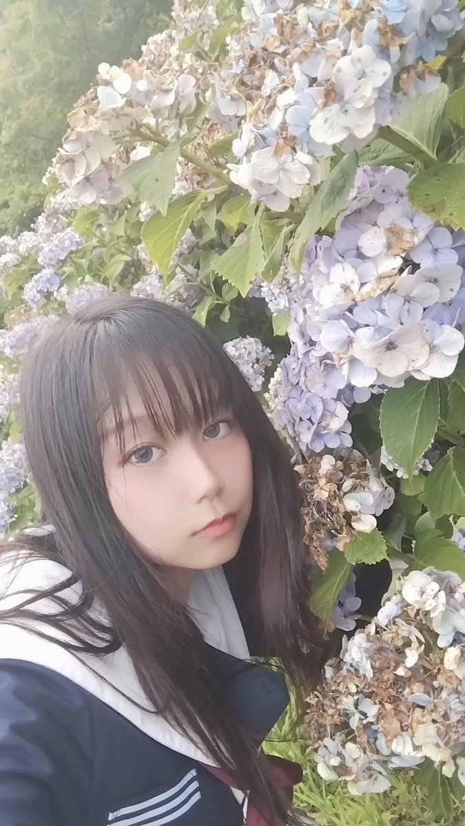 ちょい前に紫陽花撮ってきました
暑すぎたので顔は死んでます
しがみつく、という表現を最初にした人は天才だなと思わされるくらいぴったり