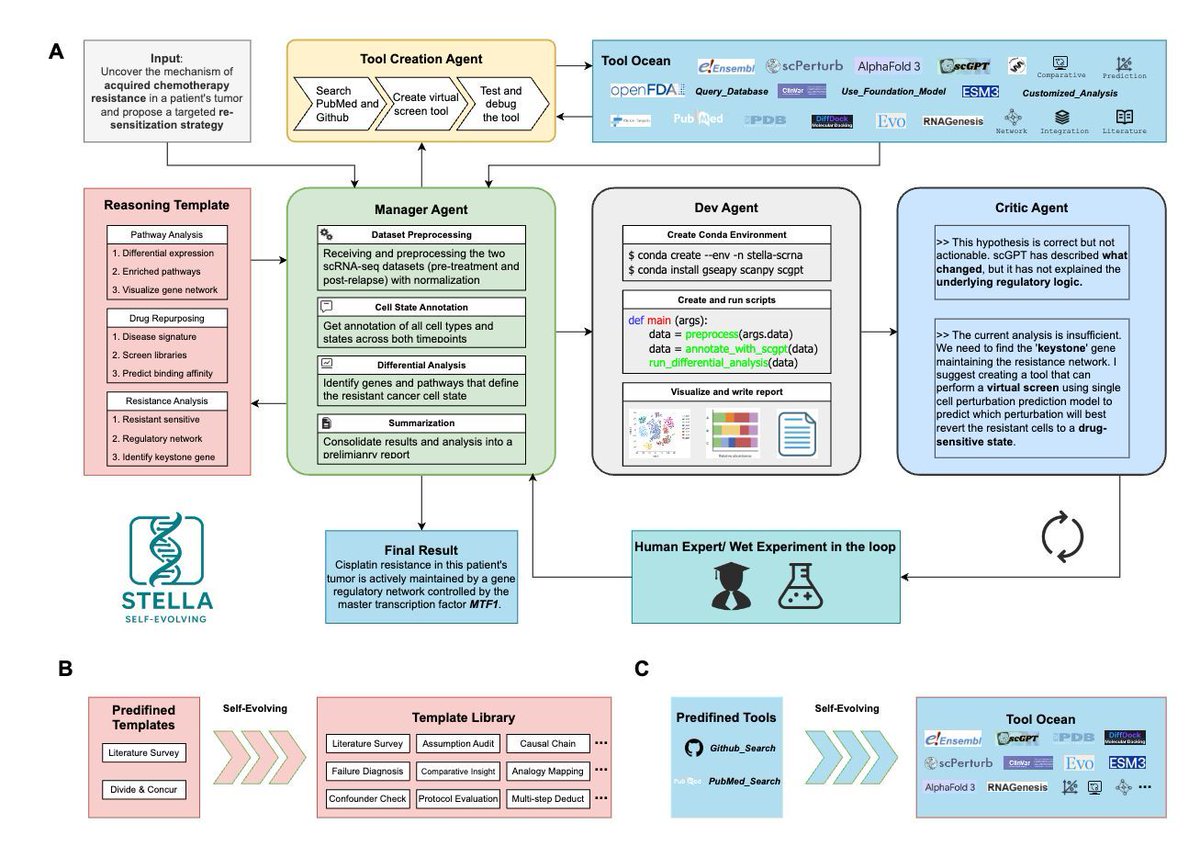 strnr's tweet image. STELLA: Self-Evolving LLM Agent for Biomedical Research biorxiv.org/content/10.110…