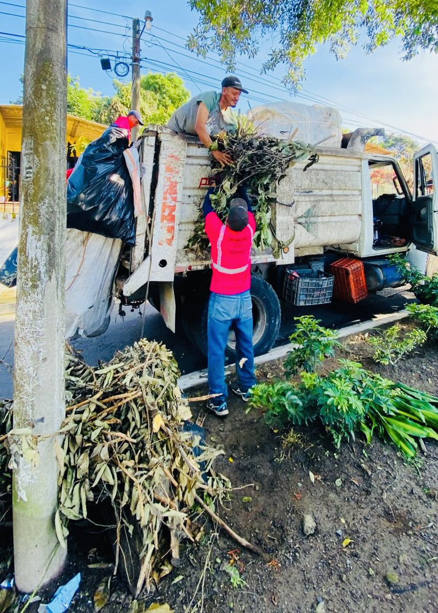 🚛🌿 ¡Acción por la limpieza! 

Nuestro equipo llevó a cabo el retiro de desechos orgánicos en Col. 7 de Marzo, trabajando juntos por un entorno más limpio y saludable. 

#RetiroDeDesechos #lalibertadeste