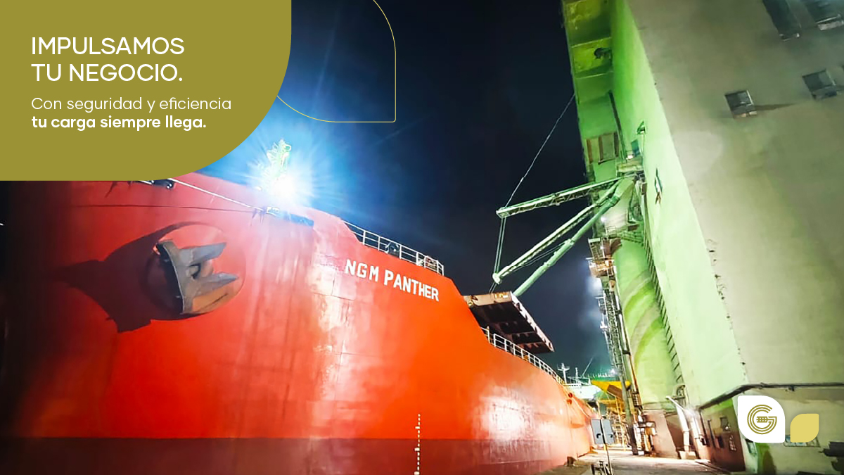 gualtieriehijos's tweet image. 🤝Acompañamiento real.
En cada operación, sumamos experiencia, compromiso y soluciones que llegan.

#GualtieriEHijos #LogísticaConValor #CompromisoQueLlega