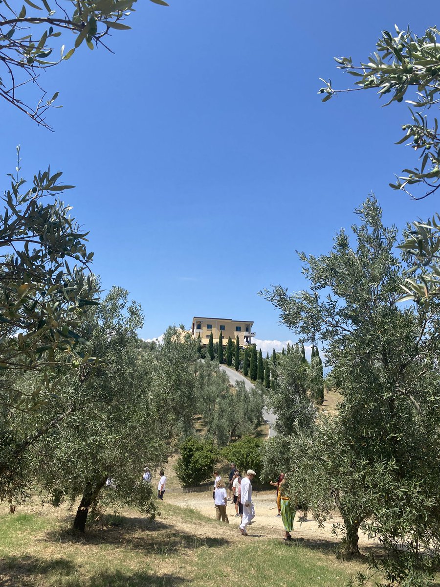 Excited to explore Italy’s #Calabria wine region for the first time, (the toe of the boot), with 170 grape varieties, including Mantonico, Magliocco, Gaglioppo and Greco di Bianco.  Champions of sustainability and diversity.
@vinitalyandthecity @arsacweb @calabriastraordinaria