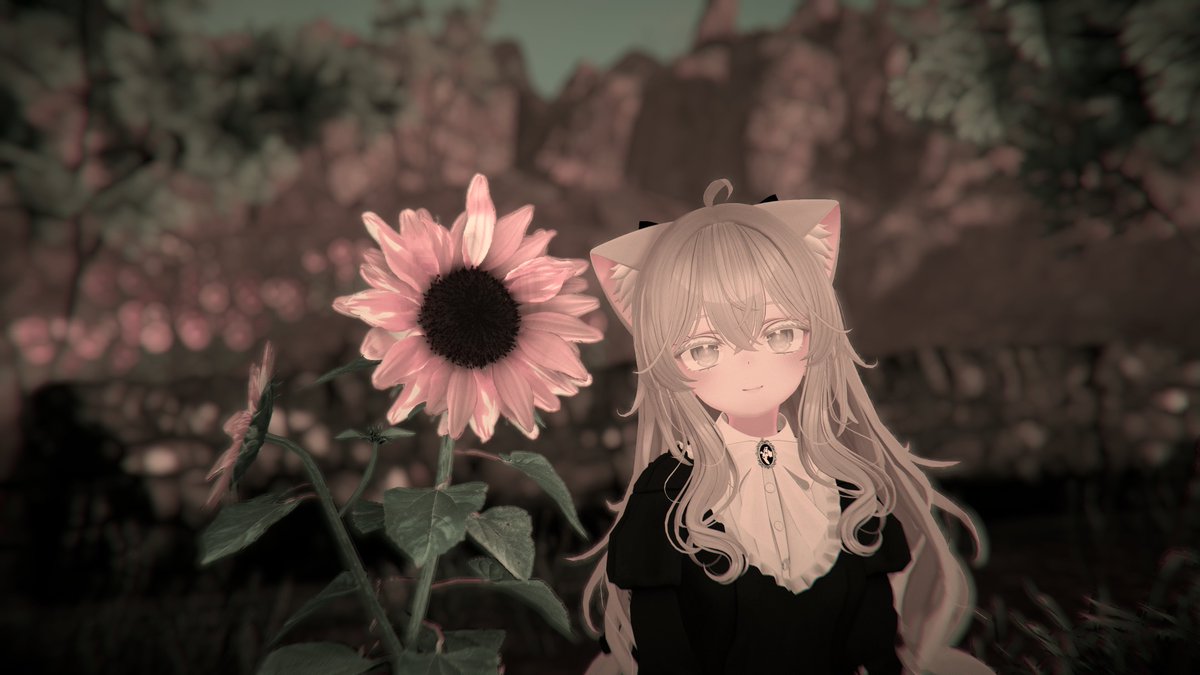 razpent's tweet image. 나는 항상 당신을 바라보는 해바라기