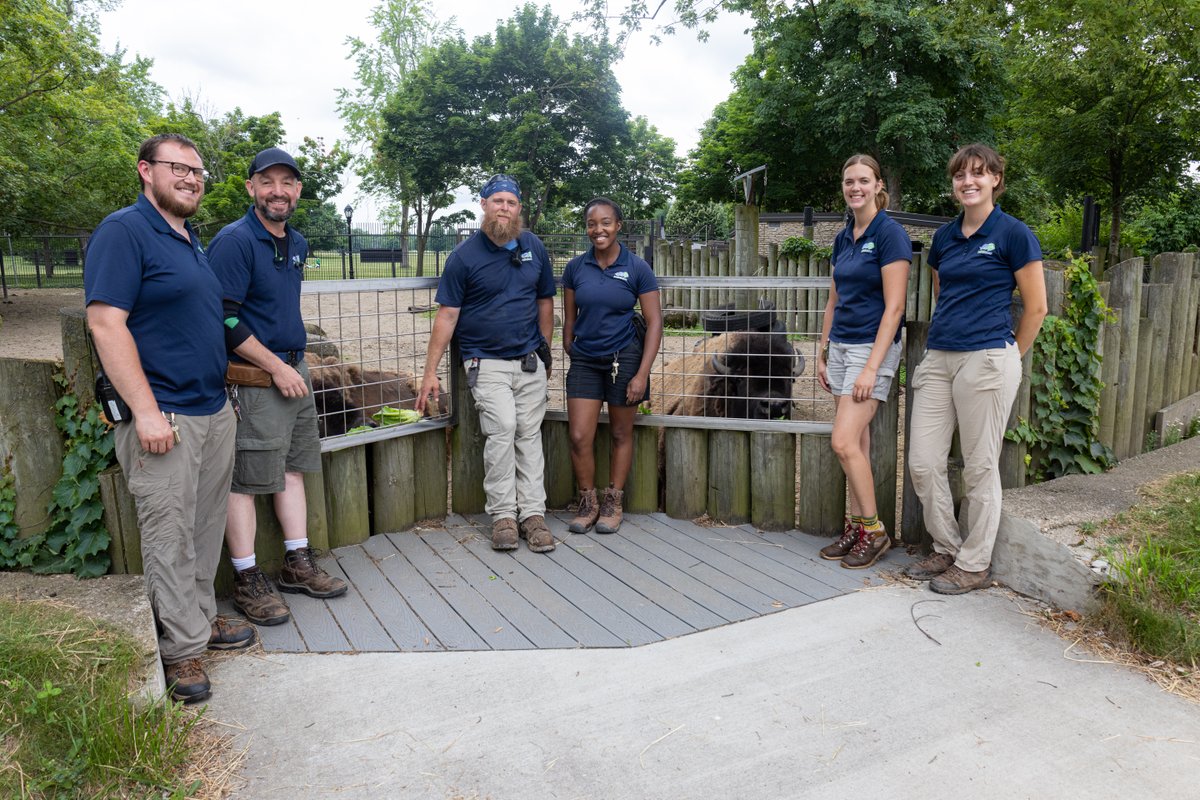 buffalozoo's tweet image. As part of National Zookeeper Week, we’re spotlighting a Buffalo Zoo keeper team each day! Today, we feature our Hoofstock Team! 🦬

Our Hoofstock Team cares for some of the largest, and tallest, animals here at the Buffalo Zoo. That includes our rhinos, giraffes and bison.