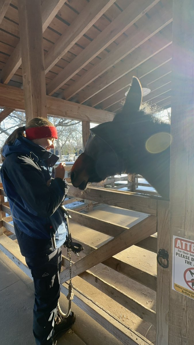 buffalozoo's tweet image. As part of National Zookeeper Week, we’re spotlighting a Buffalo Zoo keeper team each day! Today, we feature our Education Keepers!

Our education team cares for our Goat Island goats, our Delta Sonic Heritage Farm residents and our many animal ambassadors!