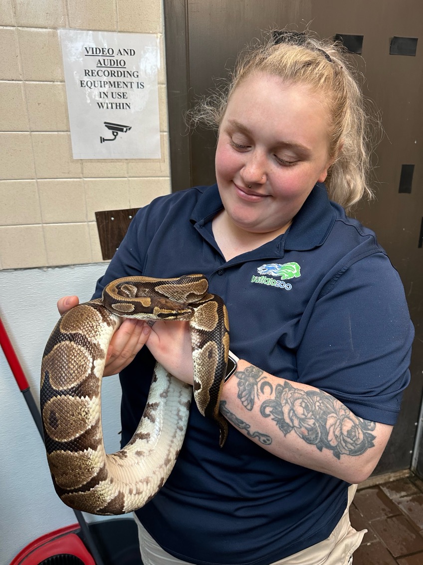 buffalozoo's tweet image. As part of National Zookeeper Week, we’re spotlighting a Buffalo Zoo keeper team each day! Today, we feature our Education Keepers!

Our education team cares for our Goat Island goats, our Delta Sonic Heritage Farm residents and our many animal ambassadors!