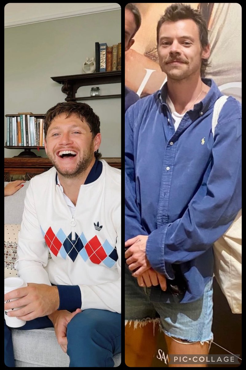 Gosh they are so beautiful 🫠 
Credit to owners