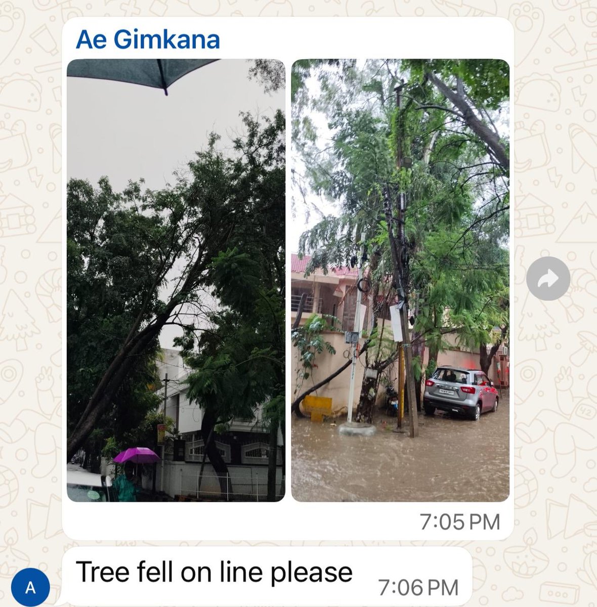 murugesan999's tweet photo. @seopsecbad 
Tree fell on 11 KV line in our colony Temple Rock Enclave Tadbund at 4 pm, since then no power.
Nobody is on the job. Reported ADE CBD, no positive response 
Please help us
@tgspdcl 
@musharraf_ias 
@revanth_anumula 
Call for info 9849044955 https://t.co/ve9u3p5f5u