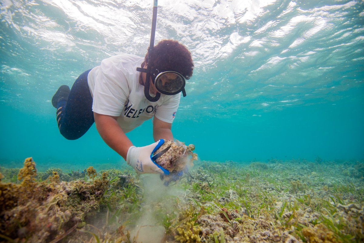 Reliable catch for small-scale fishers 🤝 local food security. Empowered communities like the Melekeok community in Palau are key to protecting the ocean as a food source. Read their story and others of people-powered change for the future of food --&gt; bit.ly/3GqOhJ6