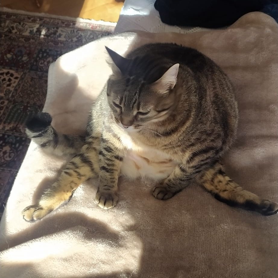 If that's what's comfortable for you girl