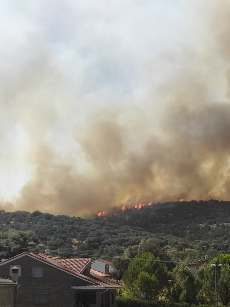 María Cao tweet media