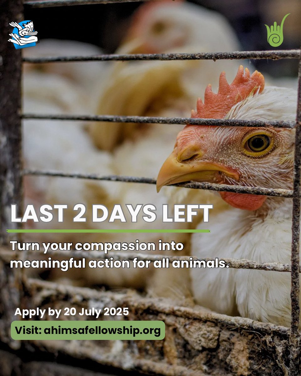 Ahimsa Fellows (@ahimsamatters) on Twitter photo Only 2 Days Left!
If you're committed to animal protection and want to work toward long-term change, this could be your next step.
Apply by 20 July 2025 for Cohort 5 of the <a href="/ahimsafellowshp/">Ahimsa Fellowship</a> at ahimsafellowship.org Only 2 Days Left!
If you're committed to animal protection and want to work toward long-term change, this could be your next step.
Apply by 20 July 2025 for Cohort 5 of the <a href="/ahimsafellowshp/">Ahimsa Fellowship</a> at ahimsafellowship.org
