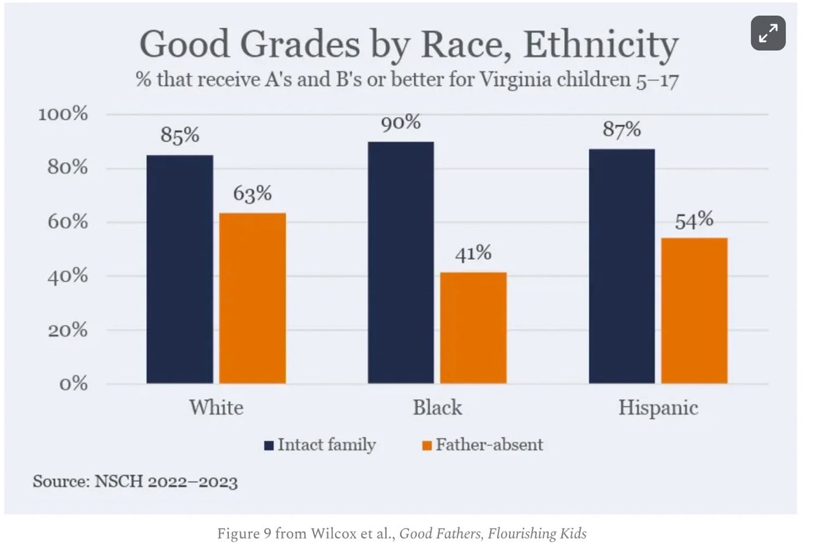 FrankLuntz's tweet image. The achievement gap is a marriage gap.
Black children with a father in the home are actually more likely (90%) to get As and Bs than their white counterparts (85%).
However, the effect of a missing father in the home is harsher for black children.
👉🏻 washingtonexaminer.com/opinion/347170…