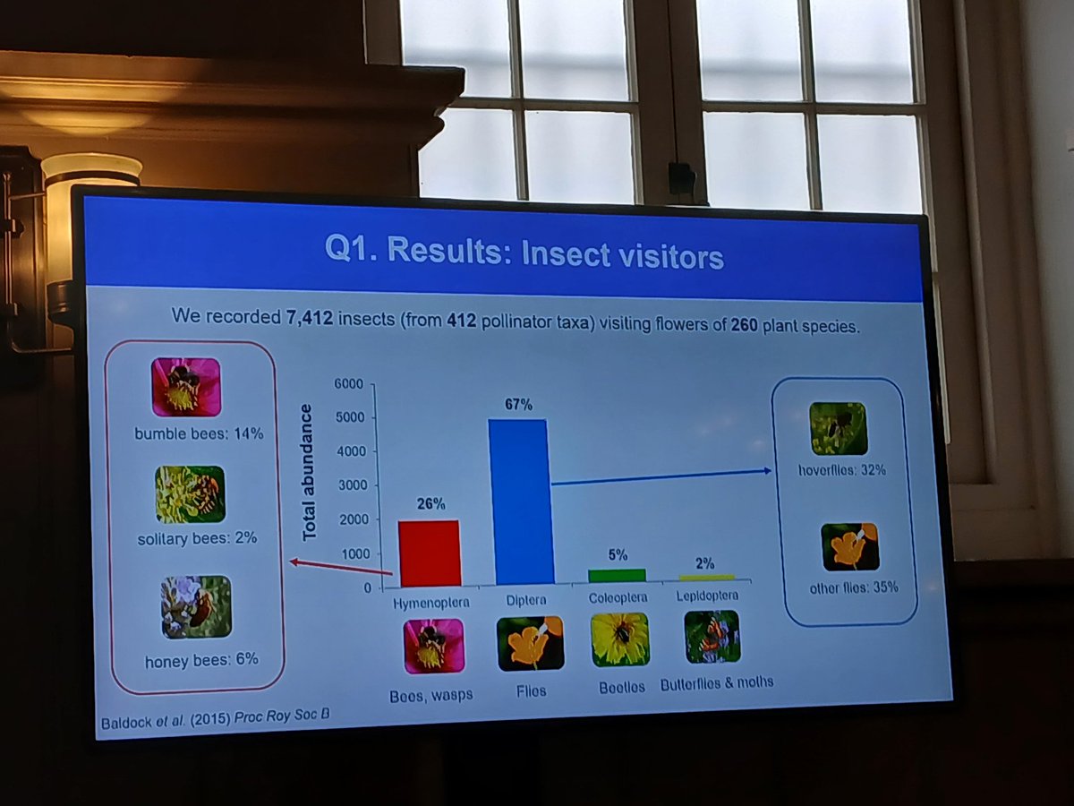BuzzingSouthEast (@nikkigammans) on Twitter photo I was sent to the Tower yesterday, luckily just a talk about our B.E.E - southeast London project. A great talk by Prof Baldock started the evening setting the scene about insect pollinators. This was part of <a href="/PollinatingLT/">Pollinating London Together</a>. For more info about B.E.E see <a href="/BumblebeeTrust/">Bumblebee Conservation Trust</a> website I was sent to the Tower yesterday, luckily just a talk about our B.E.E - southeast London project. A great talk by Prof Baldock started the evening setting the scene about insect pollinators. This was part of <a href="/PollinatingLT/">Pollinating London Together</a>. For more info about B.E.E see <a href="/BumblebeeTrust/">Bumblebee Conservation Trust</a> website