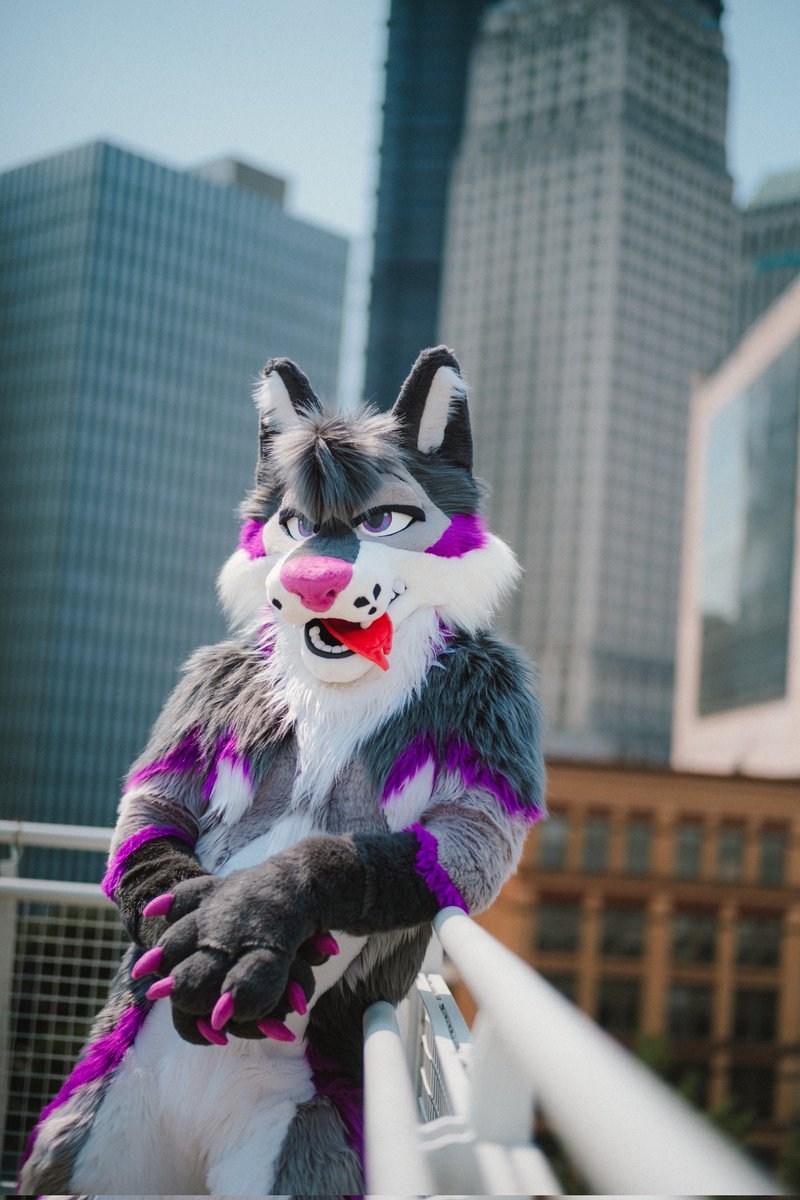Daz πΊπ π AC (@daz_vega_) on Twitter photo Feeling fluffy today? You know I am π #FursuitFriday
πΈ <a href="/luke_spots/">Luke Spots</a>
π§΅ <a href="/TwistedLeopard/">β¨πΎTwisted Leopard πΎβ¨</a> Feeling fluffy today? You know I am π #FursuitFriday
πΈ <a href="/luke_spots/">Luke Spots</a>
π§΅ <a href="/TwistedLeopard/">β¨πΎTwisted Leopard πΎβ¨</a>