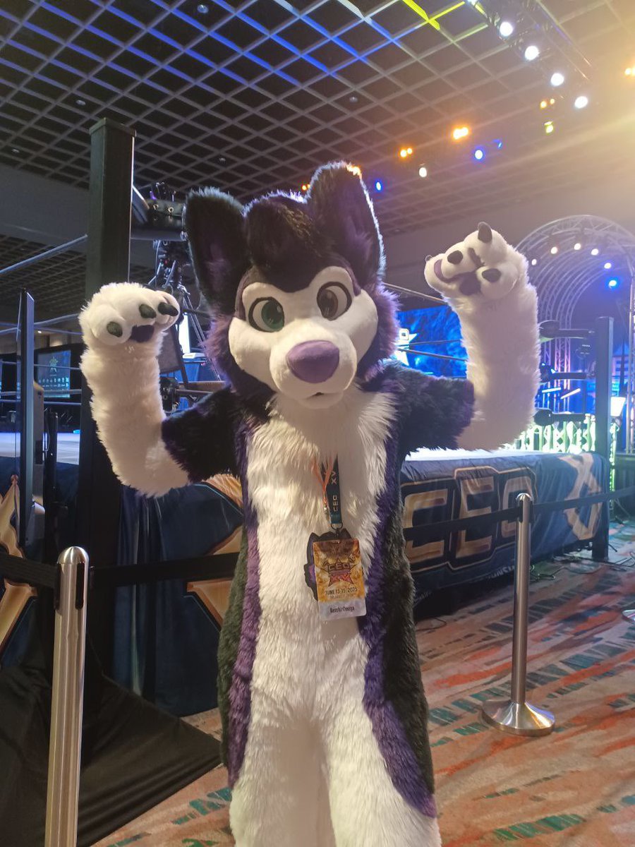 Who wants to join me in the ring? #FursuitFriday 

🧵<a href="/WildDogWorks/">WildDogWorks.com on 🦋</a>