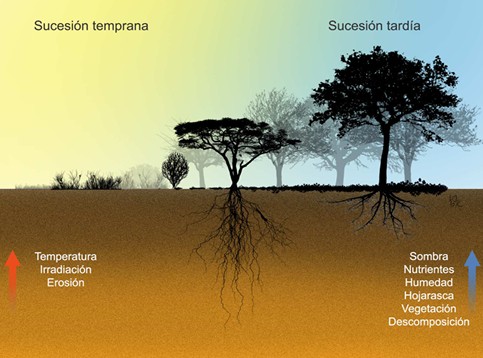 Sociedad Científica Mexicana de Ecología tweet media