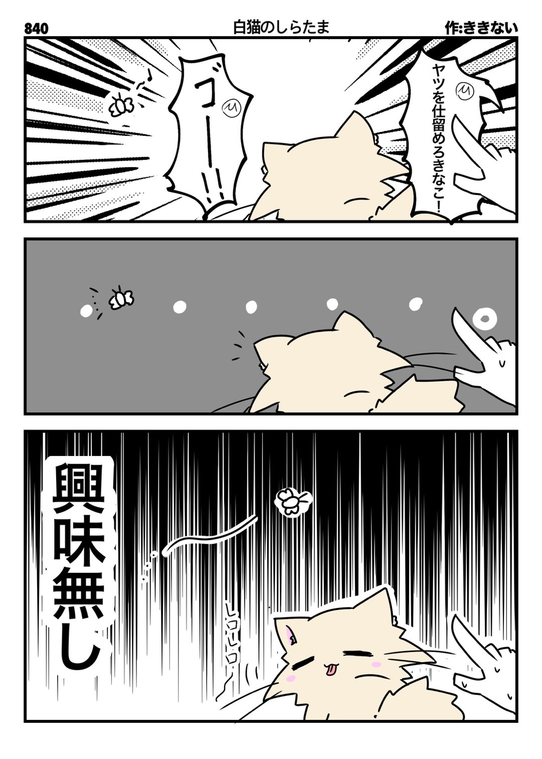 ねこやなぎー★プロフ一読ください★(追加分) 果樹れもね🍋8/2~8/6 渋谷ﾓﾃﾞｨ4F 初出展🎇 on X: 