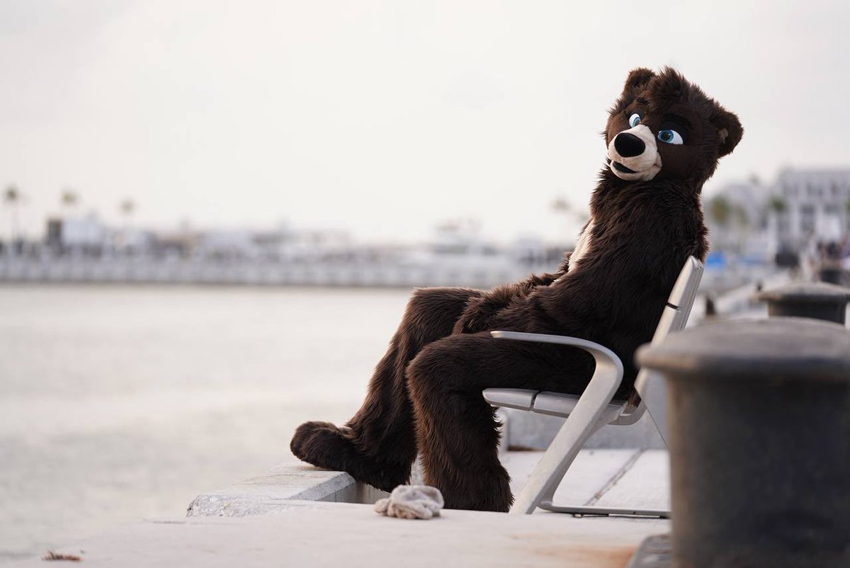 TyTyCub's tweet image. Enjoying the waterside vibes. Maybe a tasty salmon will hop up to join me.
📸 @PhotoVarmint #fursuitfriday