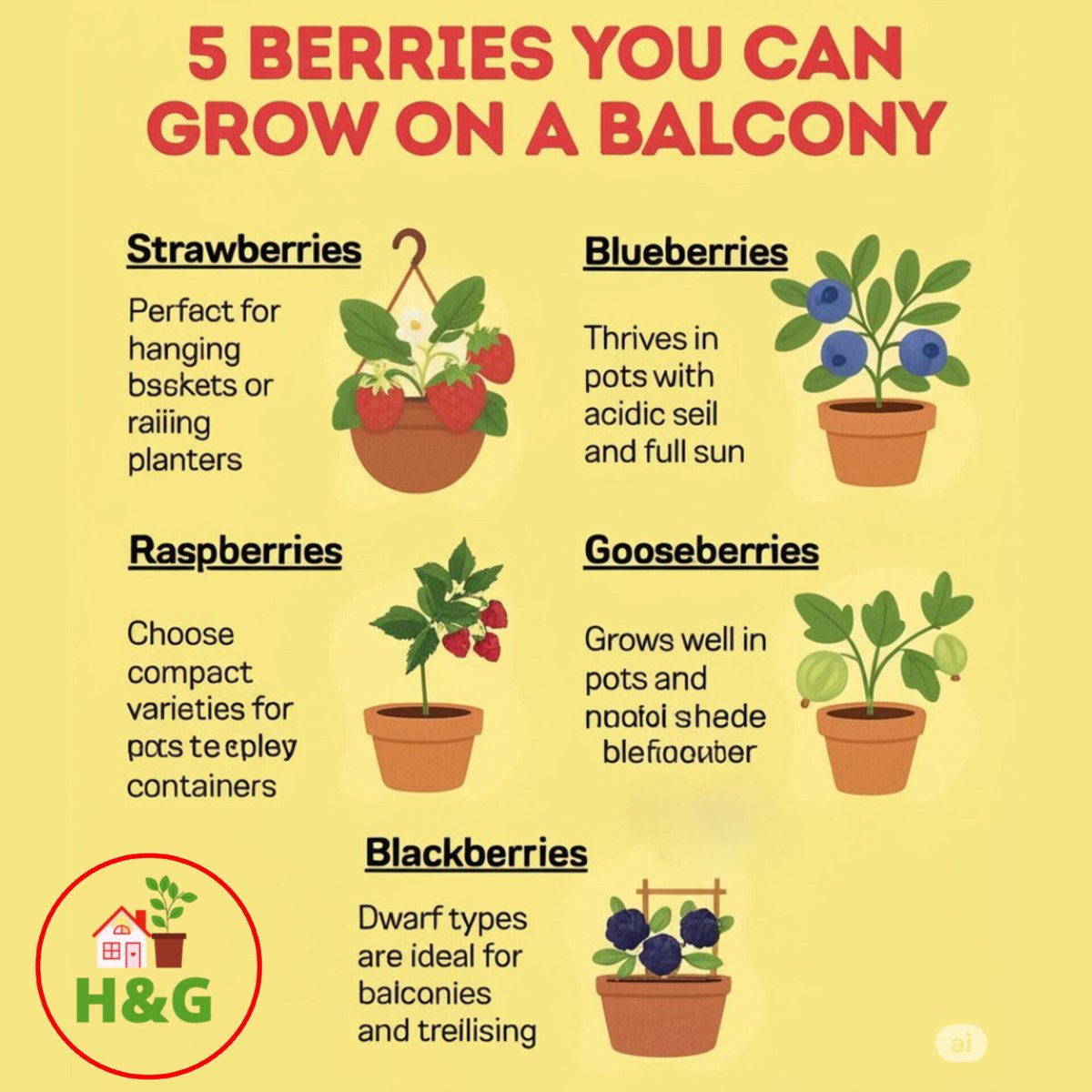 Homegardeen's tweet photo. Balcony Gardening: Grow a Delicious Harvest at Home

Visit The Website for more ideas

https://t.co/55OQWszqFy

#BalconyGarden #ContainerGardening #GrowYourOwnFood #Berries #UrbanGardening #SmallSpaceGardening #Strawberries #Blueberries #Raspberries #Gooseberries #Blackberries https://t.co/b4YNpSrW5y