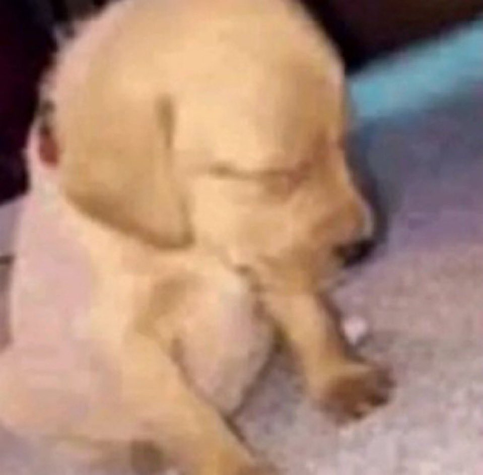 e quando dá vontade de ver a pessoa todo dia