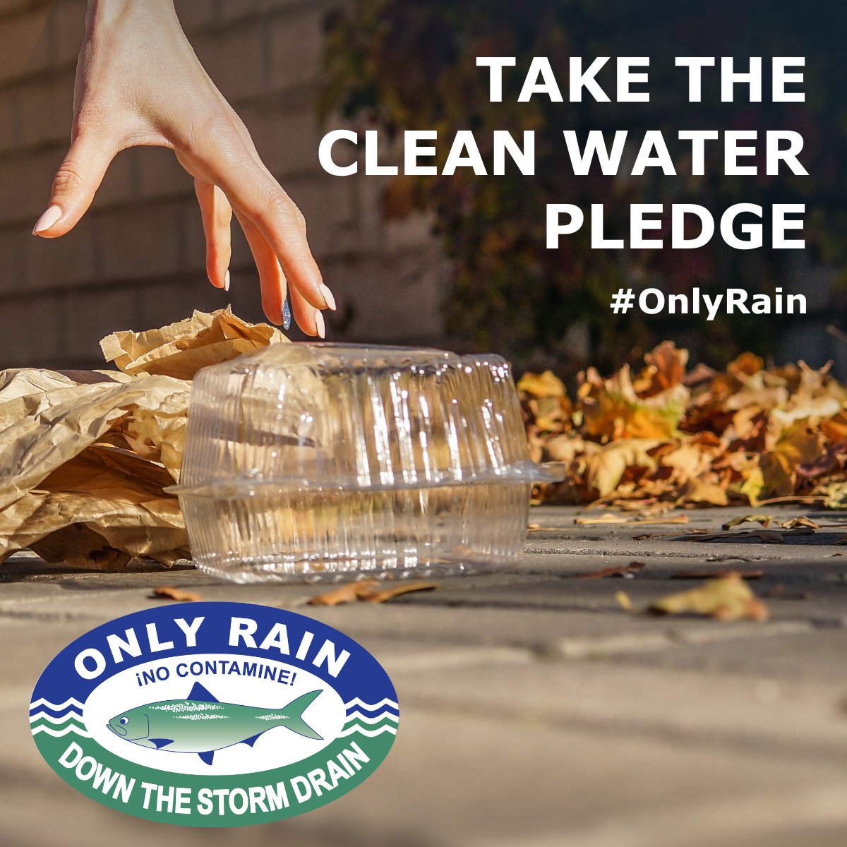 Northern Virginia Clean Water Partners (@nova_cwp) on Twitter photo Ready to support clean water in Northern Virginia? 💧💧 Take the Clean Water Pledge and help us keep pollutants out of our local waterways!
Learn how you can make a difference at onlyrain.org/clean-water-pl… #OnlyRain Ready to support clean water in Northern Virginia? 💧💧 Take the Clean Water Pledge and help us keep pollutants out of our local waterways!
Learn how you can make a difference at onlyrain.org/clean-water-pl… #OnlyRain