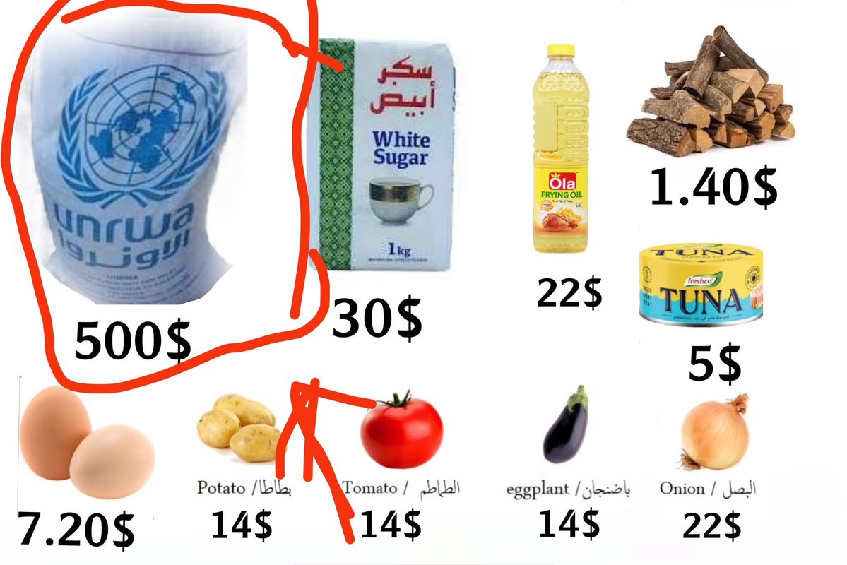 balmassri8's tweet image. No one responds to my pleas. I want to buy flour. I swear to you that we are dying of hunger. Today I went through the streets of the city and found a piece of bread in the street. I dipped it in water so that it would not be dry and we could eat it. This is our situation in…