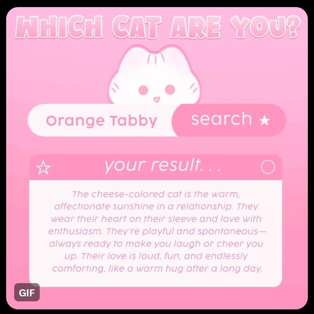 chicak ngueng 🐯 tweet media