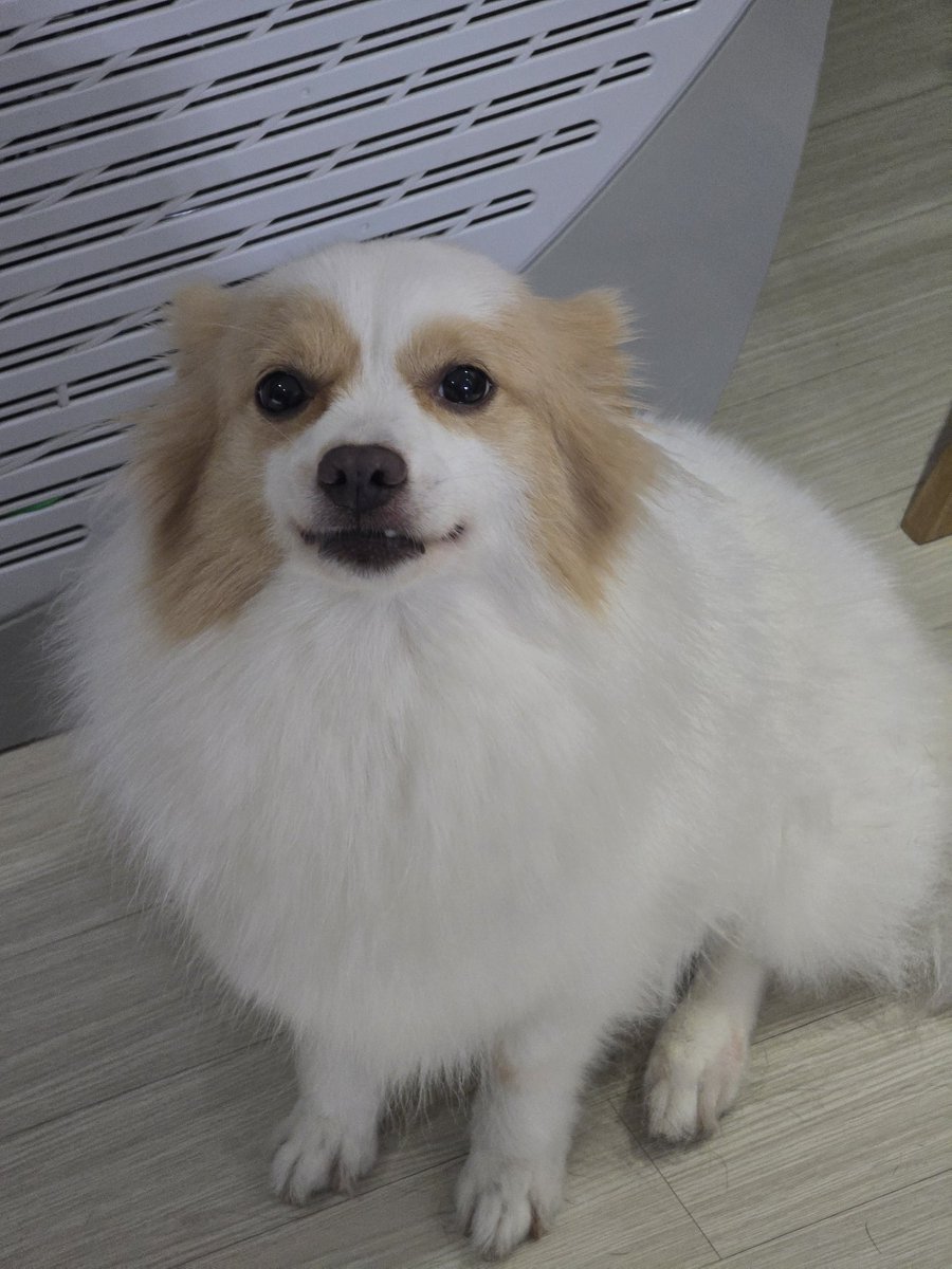 plaveALLRPS's tweet image. 아까 첫째 밥투정 부리는거 찍음