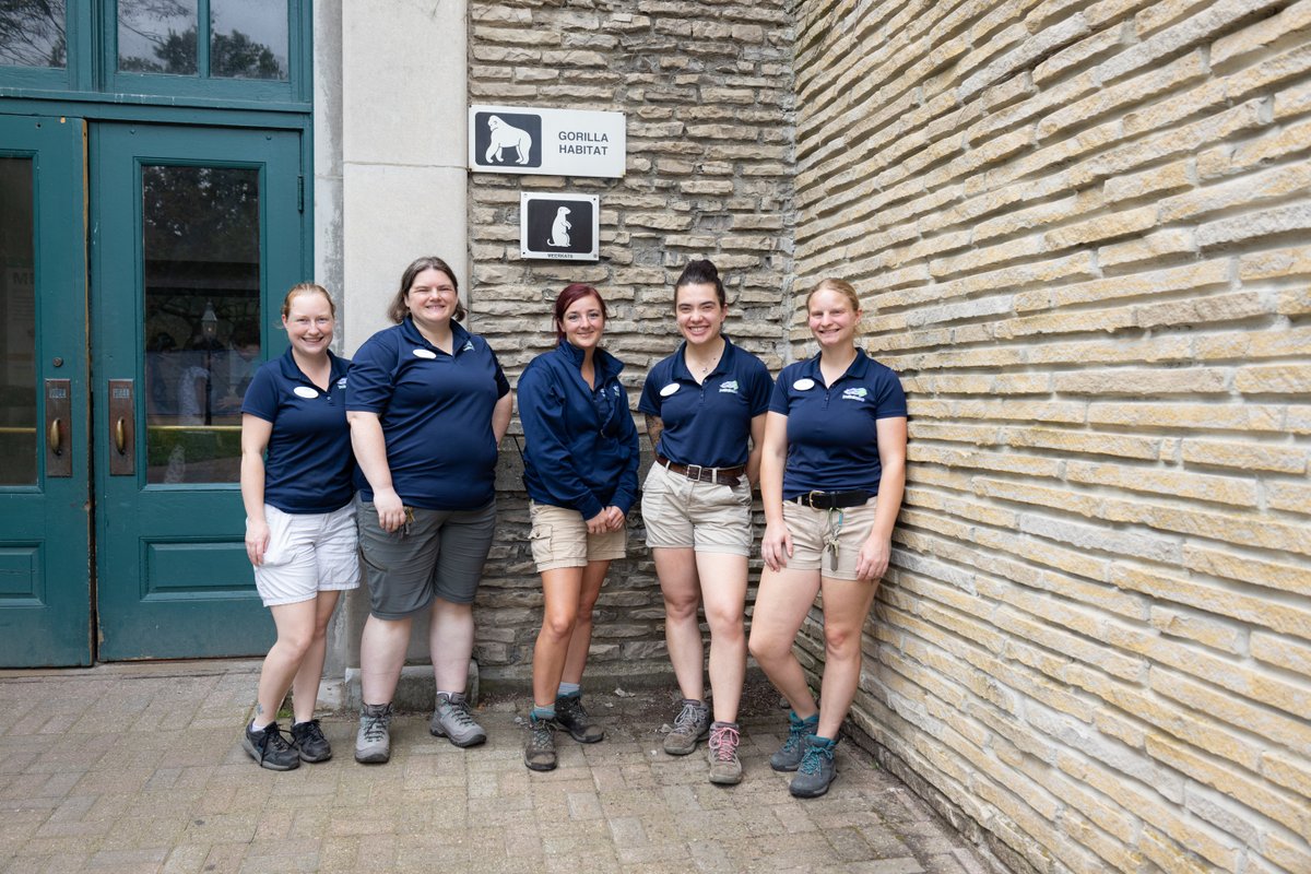 buffalozoo's tweet image. As part of National Zookeeper Week that runs July 20-26, we’re spotlighting a Buffalo Zoo keeper team each day! Today, we feature our Primate Team!

Our Primate Team cares for our various primates, such as gorillas, as well as our EcoStation animals like sand cats!