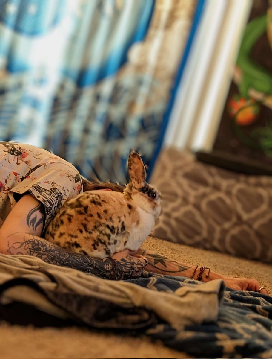 I've spent most of my life put into the most fucked up places.  

Now I'm just trying to take bak the time I lost. 
<a href="/KickStreaming/">KICK</a>