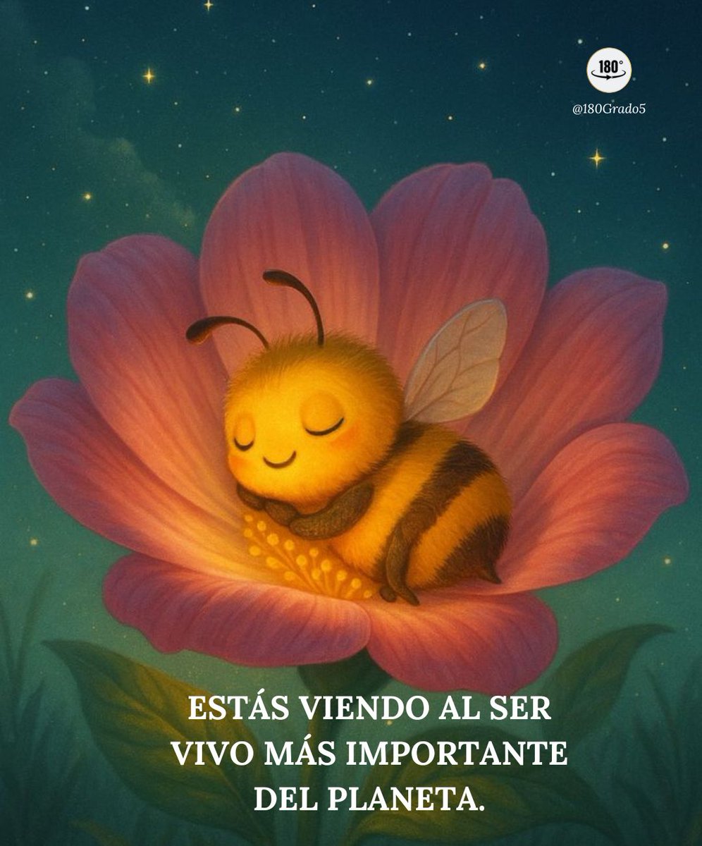 180Grado5's tweet photo. 🐝🐝🐝 https://t.co/pSdKoEzdKs