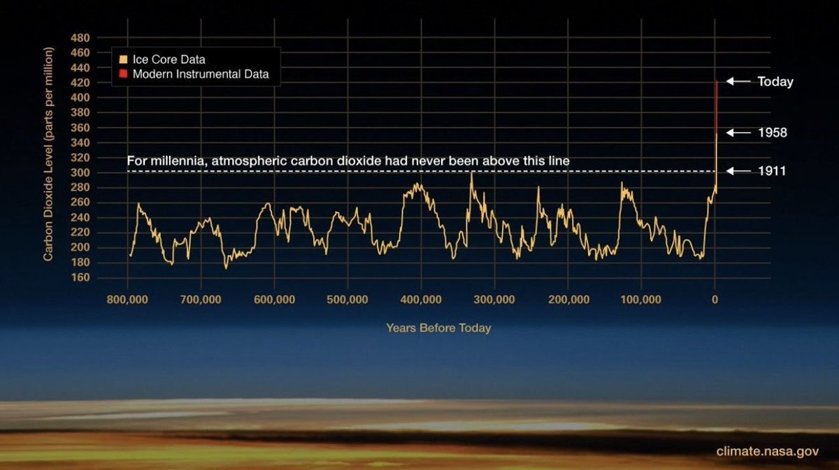 Anyone looking at this thinking everything is OK is insane.
