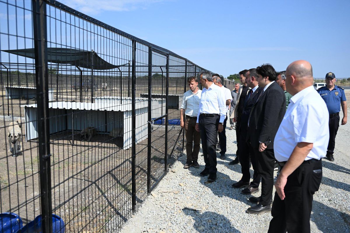 edirne_valiligi's tweet photo. 📍Valimiz Yunus Sezer, patili dostlarımız için Uzunköprü ilçemizde kurulan sokak hayvanları doğal yaşam merkezinde incelemelerde bulundu. 

Uzunköprü ilçemizde 37 dönümlük alanda kurulan doğal yaşam alanında çevre düzenlemesi ve ağaçlandırma çalışmalarına tüm hızıyla devam ediyoruz.