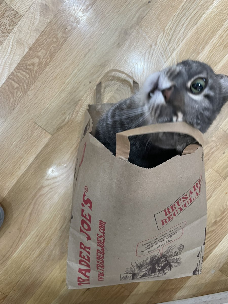 misplacedcomma2's tweet image. Everything is cheaper at Trader Joe’s! Look at this free cat toy.
