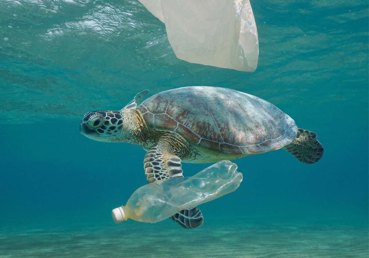 BEST - For a cleaner world tweet media