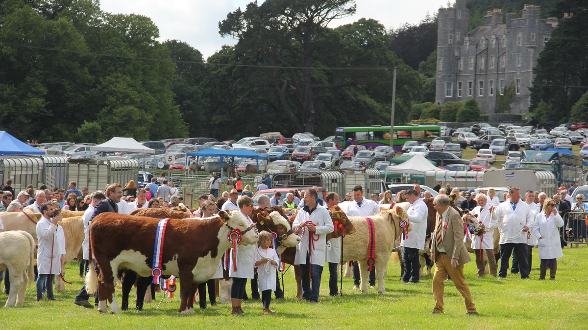 nmdcouncil's tweet image. 𝗖𝗮𝘀𝘁𝗹𝗲𝘄𝗲𝗹𝗹𝗮𝗻 𝗔𝗴𝗿𝗶𝗰𝘂𝗹𝘁𝘂𝗿𝗮𝗹 𝗦𝗵𝗼𝘄 🐎🐮🚜
This one-day event celebrates local farming, food, and rural life, featuring livestock competitions with cattle, sheep, horses, pigs, poultry, rabbits, and more.
A great family day out with something for everyone.…