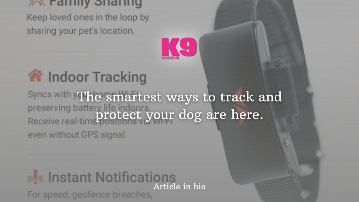 Track, train &amp; protect your dog with the best GPS trackers – here’s what you need to know 🛰️🐶 #k9magazine

k9magazine.com/gps-tracker/