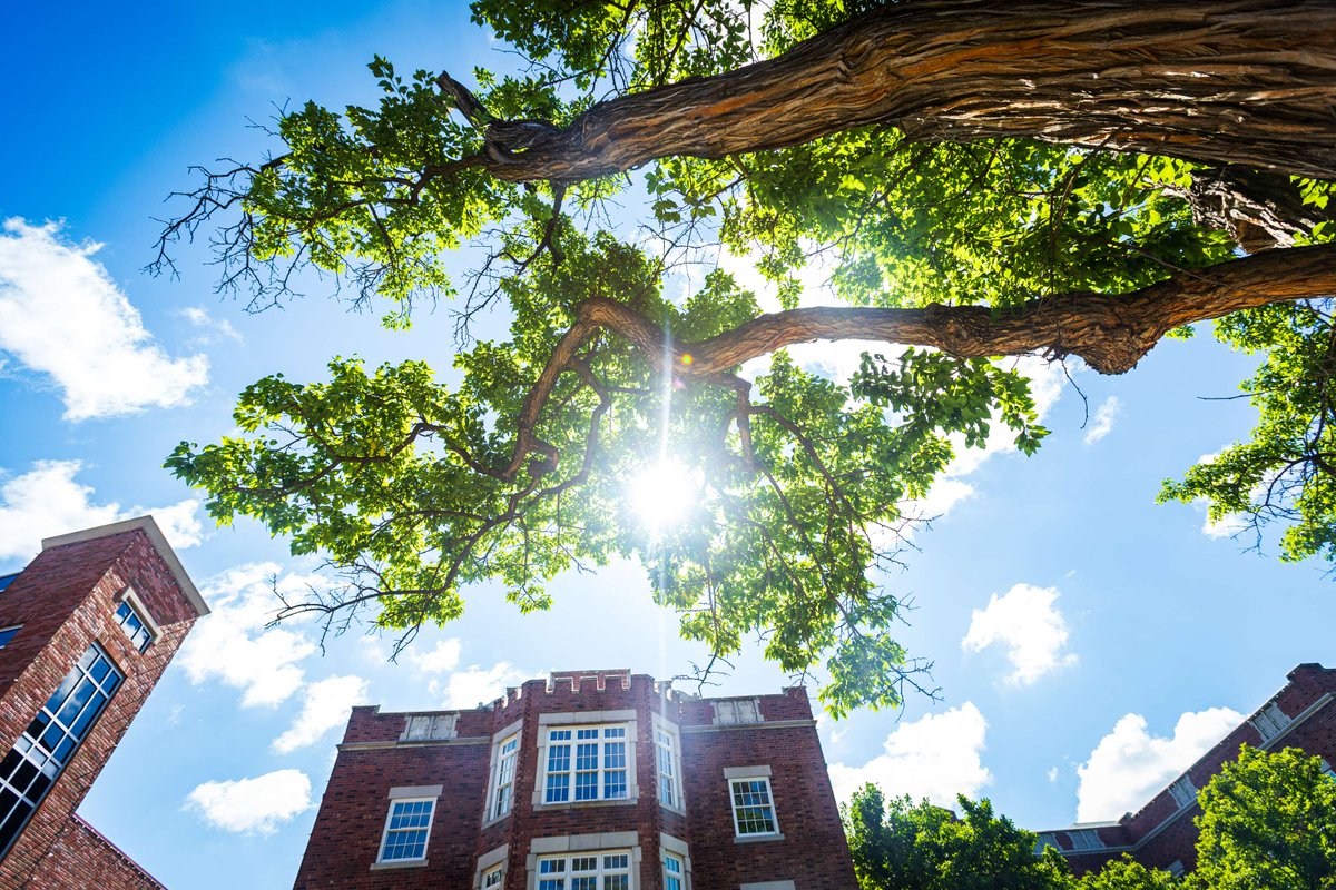 Columbia College (@columbiacolg) on Twitter photo Sunny days at CC ☀️💮
#WeAreCC Sunny days at CC ☀️💮
#WeAreCC
