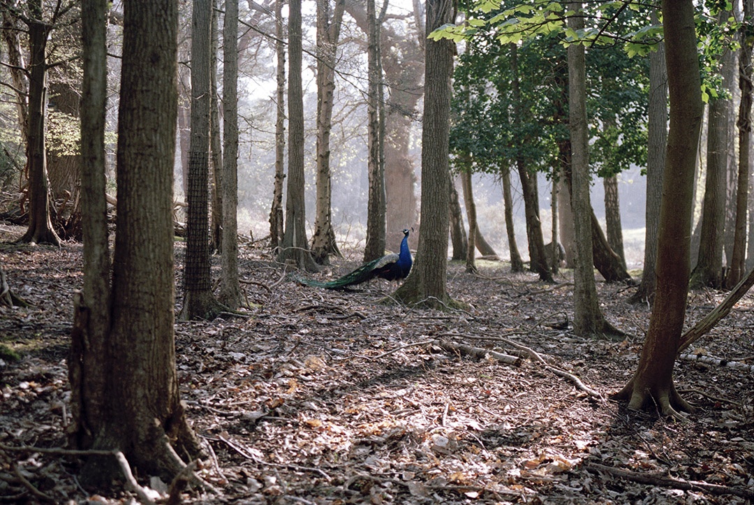 PhotoED Magazine tweet media