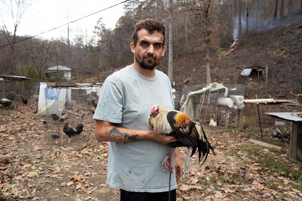 oxfordamerican's tweet image. #EyesontheSouth | Three Photographic Surveys | Kentucky Documentary Photographic Project
Compare Kentucky in the Depression era to the state anew in this “visual tone poem” spanning ninety years.
🔗: shorturl.at/MZ86o