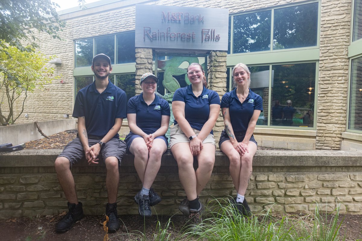 buffalozoo's tweet image. As part of National Zookeeper Week, we’re spotlighting a Buffalo Zoo keeper team each day! Today, we feature our Rainforest Team!

Our Rainforest Team oversees all of the animals who reside in our M&amp;amp;T Bank Rainforest Falls exhibit, including our anteater, howler monkeys and more!