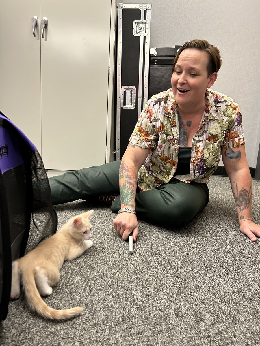 City of Tempe, AZ (@tempegov) on Twitter photo On this episode of the Tempe Podcast... Cats!
Also, Councilmember Nikki Amberg joins Jess and John with special guest Jodi Polanski, executive director of <a href="/LostOurHome/">Lost Our Home</a> Pet Rescue.
More than just a pet shelter, Lost our Home has been serving the Valley for more than 17 years. A On this episode of the Tempe Podcast... Cats!
Also, Councilmember Nikki Amberg joins Jess and John with special guest Jodi Polanski, executive director of <a href="/LostOurHome/">Lost Our Home</a> Pet Rescue.
More than just a pet shelter, Lost our Home has been serving the Valley for more than 17 years. A