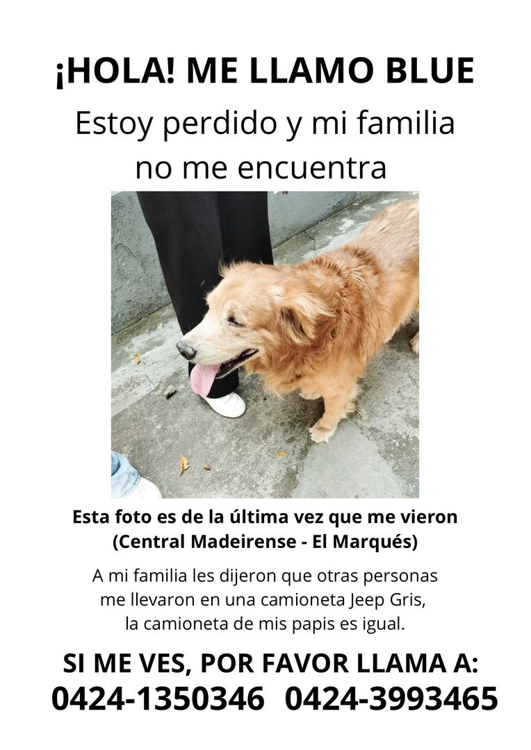 🆘️ RP <a href="/abreumai/">mai</a>: Buenos días, ayer en la mañana cuando mi familia salio yo me sali de la casa y ellos no se dieron cuenta y cuando llegaron en la noche se percataron de que yo no estaba, la gente vio que 2señoras me embarcaron en una camioneta Jeep de color gris, tengo familia