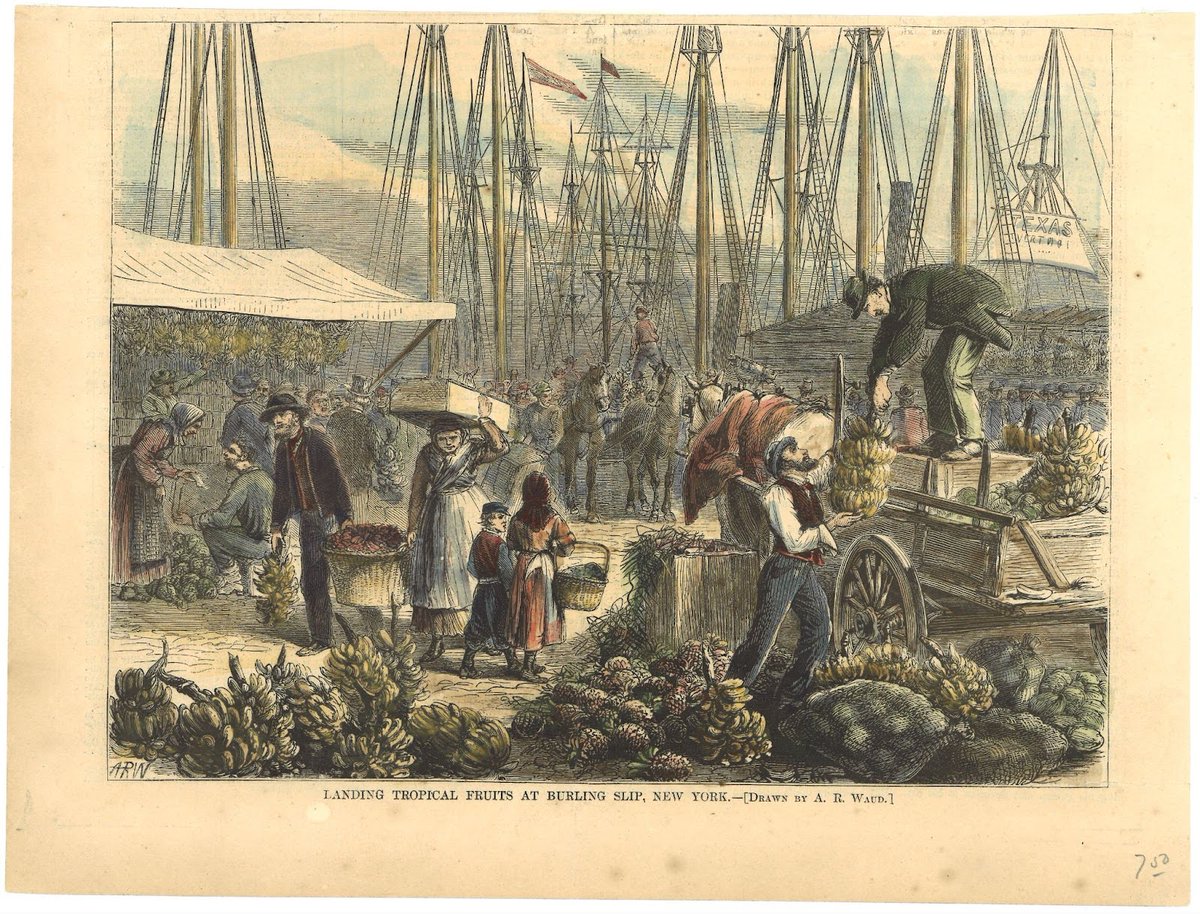 Happy #NationalTropicalFruitDay! 🍌
#Bananas are the most-consumed fresh fruit in the US today, but in 1870 bananas were still a delicacy unavailable to most Americans living inland.

📰: “Landing Tropical Fruits at Burling Slip, New York” 1870. #FromTheArchives, 1988.096