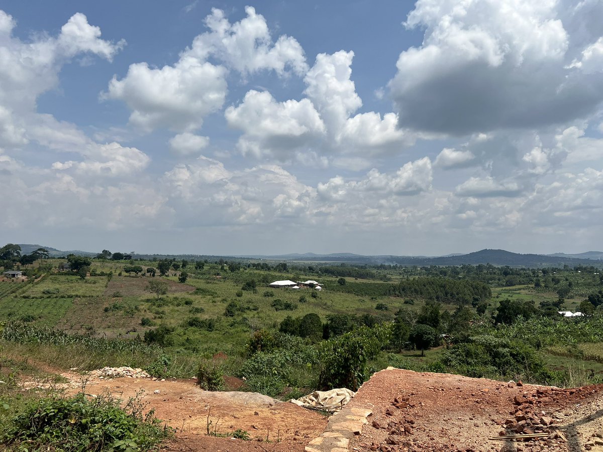 CallMeKulubya's tweet image. I have spent my day at the site to check on the progress of another wonderful house.
I can say the future is bright. These timber homes are becoming something else.