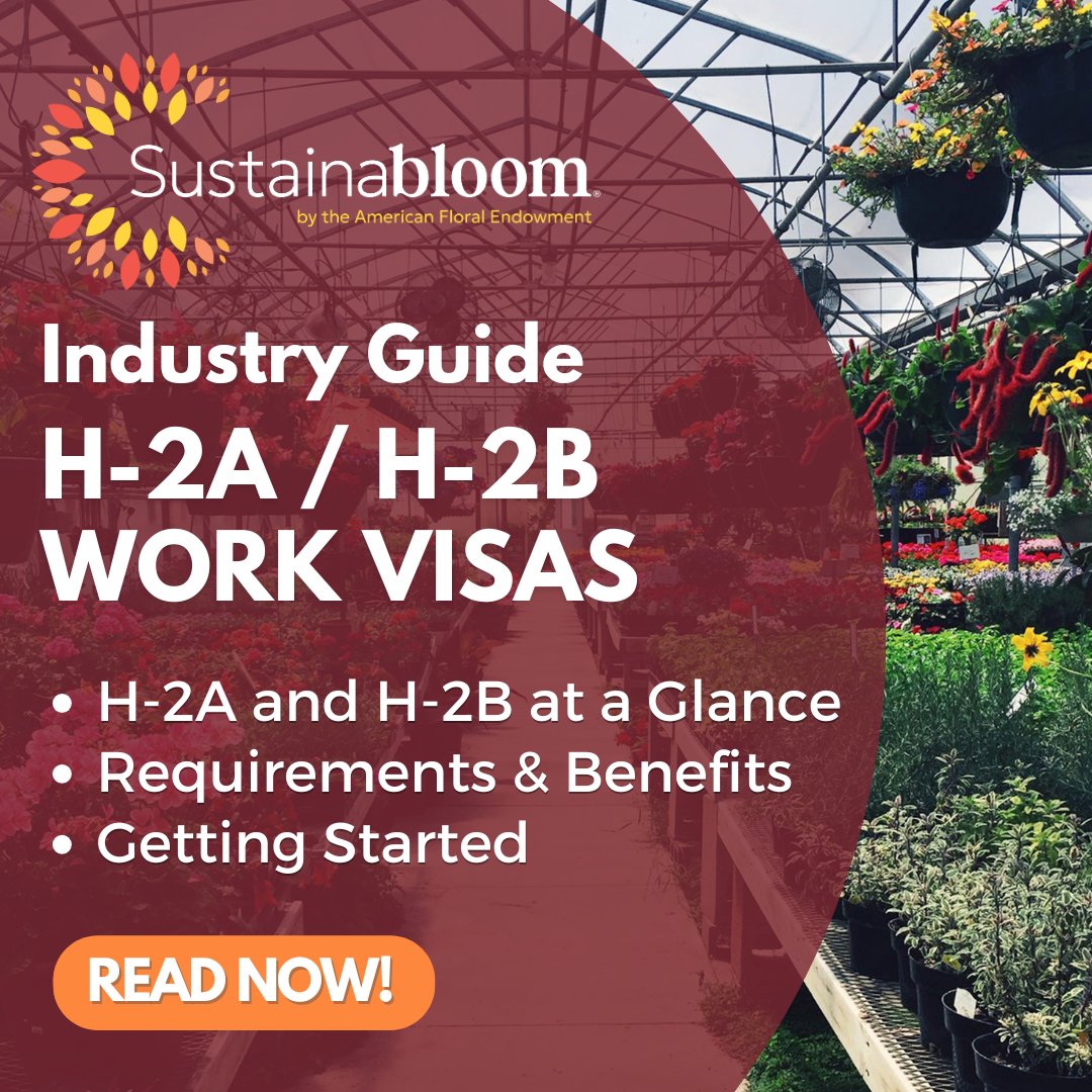 Have you checked out one of our newest Sustainabloom guides on H-2A and H-2B Work Visas? This guide is designed to help you make informed decisions about temporary work visas and foster sustainable social practices in business operations. Learn more here: sustainabloom.org/industry-guide…